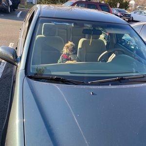 Meet your Posher, Henry